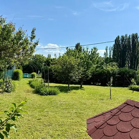 Eklektikus 79 *